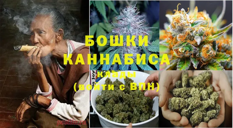 Конопля OG Kush  Инза 